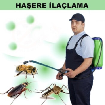 Gerede Böcek İlaçlama